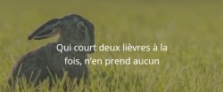 Qui court deux lièvres à la fois, n’en prend aucun