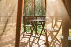 The word 'glamping' first appears in 2005