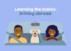 Couple driving with dog in centre