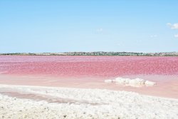 Pink salt lake, Torrevieja