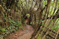 Argelaguer Labyrinth