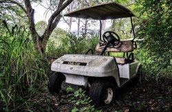 Dirty golf buggy