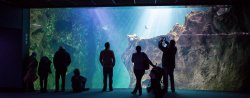 La Rochelle Aquarium