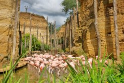 Zoo de Doué