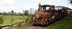Cerza Safari Park