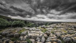 Limestone pavement above Malham Cove