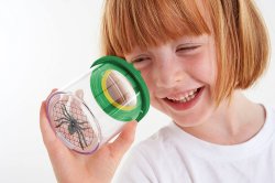 Edu Science Bug Viewer