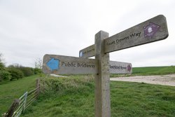 The South Downs Way
