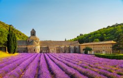 Walking Holidays in Provence