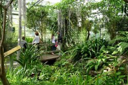 Jardin du Conservatoire botanique national de Brest (Photo credit: Brittany Tourism)