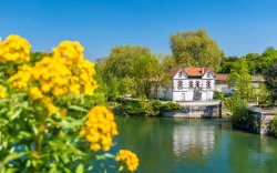 Charente River at Cognac