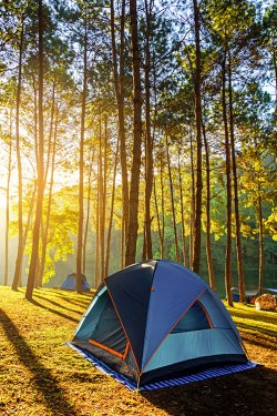 Finding the right campsite