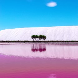 Salin Aigues-Mortes