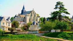 Candes-Saint-Martin [📸 Samur Tourist Board] ot-saumur.fr