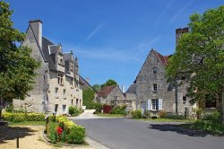 By Daniel Jolivet - Crissay-sur-Manse (Indre-et-Loire)., CC BY 2.0