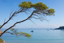 Porquerolles Island
