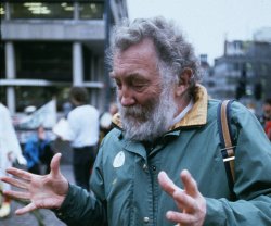David Bellamy