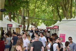 Vitiloire - Tours, Indre-et-Loire