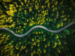 Road winding through green forest from above