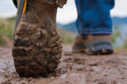 Muddy shoes
