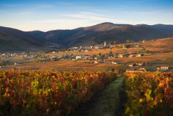 Quincie-en-Beaujolais in Beaujolais