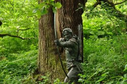 Sherwood Forest