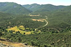Cabañeros National Park