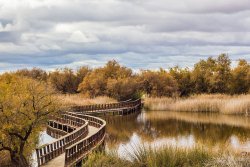 Las Tablas de Daimiel National Park