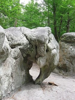 Éléphant - Fontainebleau