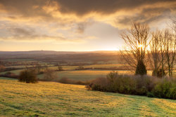 Golden Winters Morning