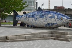 Belfast