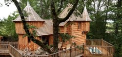 Châteaux dans les Arbres