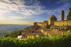 Chianti vineyards