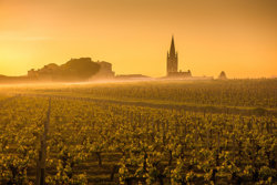 Saint Emillon