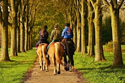 Three women horse riding