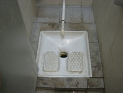 French Style Toilet