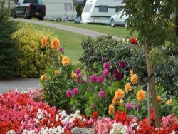 Webbers Caravan & Camping Park