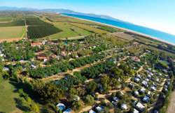 Camping Las Palmeras