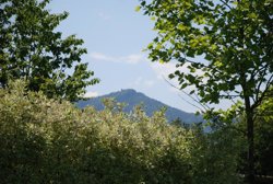 Camping Municipal le Vallon de l'Ehn
