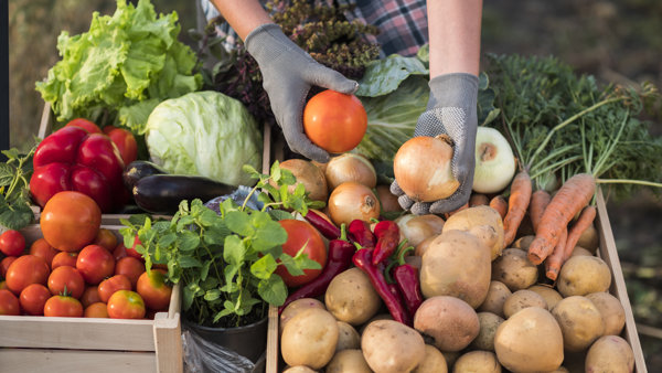 Shop local