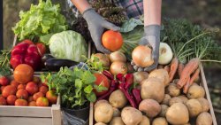 Shop local