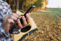 Man using smartphone in fall forest