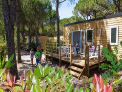 Camping Resort la Baume la Palmeraie accommodation