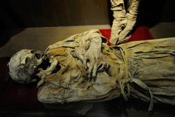 The Museum of Vampires and Legendary Creatures