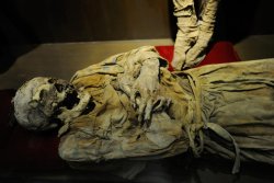 The Museum of Vampires and Legendary Creatures